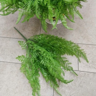 Папоротник зеленый силикон